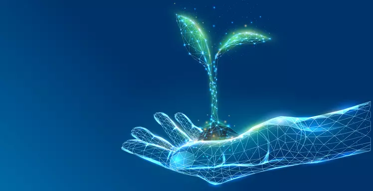 header digital plant illustration